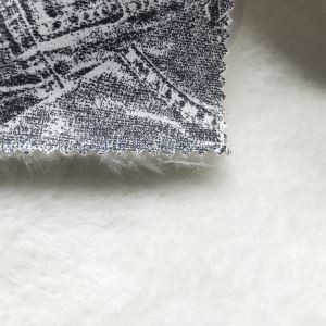 غلط کرافٹ شیرپا سابر فیبرک